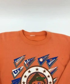 Flaunt Your Love For Florida Gators With A Vintage-Style Paint-Stained T-Shirt, Sweatshirt Or Hoodie