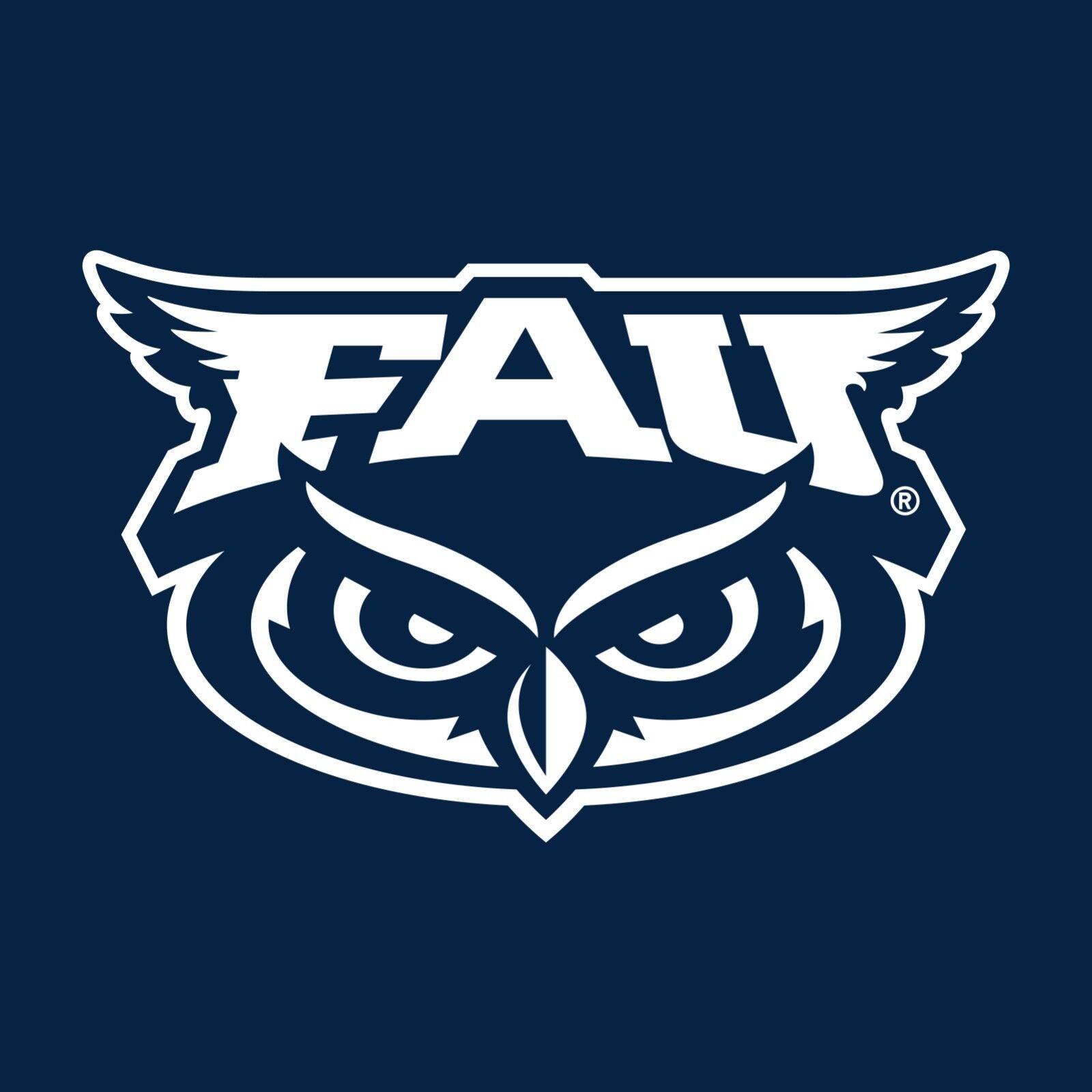 Florida Gulf Coast Eagles Identity Stamp Shirt, Sweatshirt Pullover Hoodie For Fans - Image 2