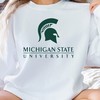 Get Ready For Game Day With A University Of Michigan Sweatshirt Or Michigan State Sweatshirt, Hoodie