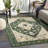 Gray Boho Tribal Area Rug - Washable Rugs for Living Room or Bedroom Decor - Creates a Harmonious and Elegant Atmosphere
