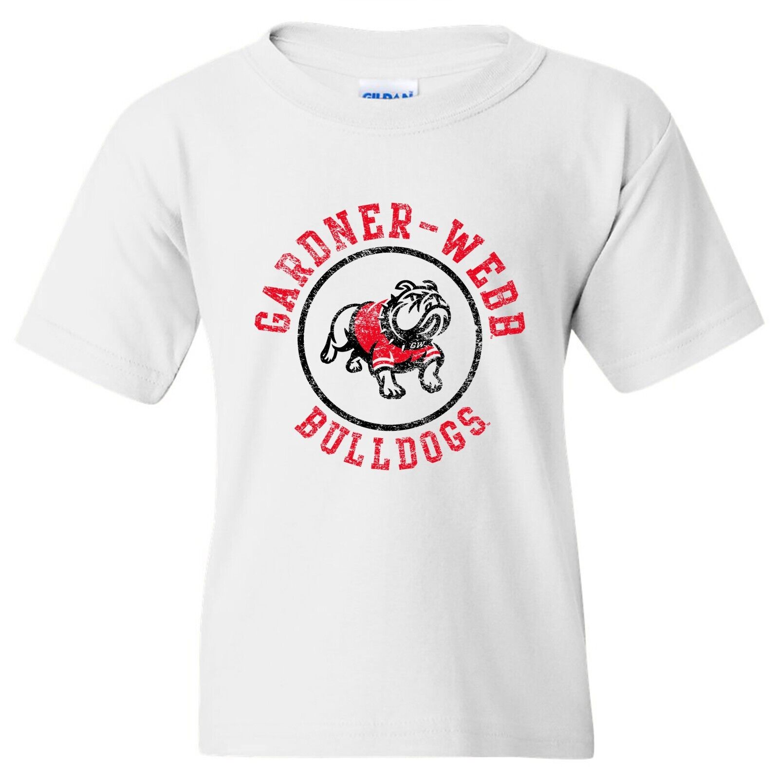 Hampton Pirates Arch Logo Shirt, Sweatshirt Pullover Hoodie For Fans