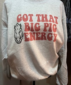 Hogs Sweatshirt, Arkansas Razorback Sweatshirt, Razorback Sweater, Sec Sweater, Football Sweatshirt, Woo Pig Hoodie