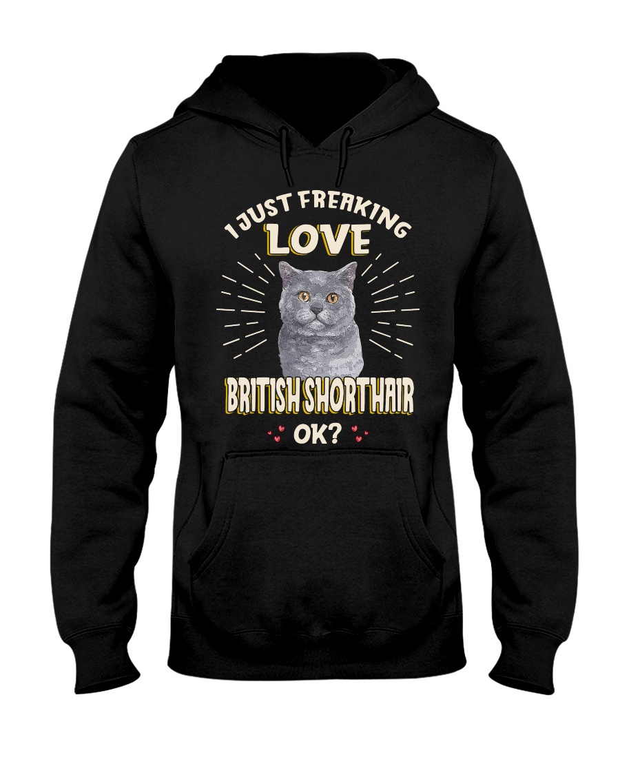 I Just Freaking Love British Shorthair Vintage Style Hoodie - Image 2