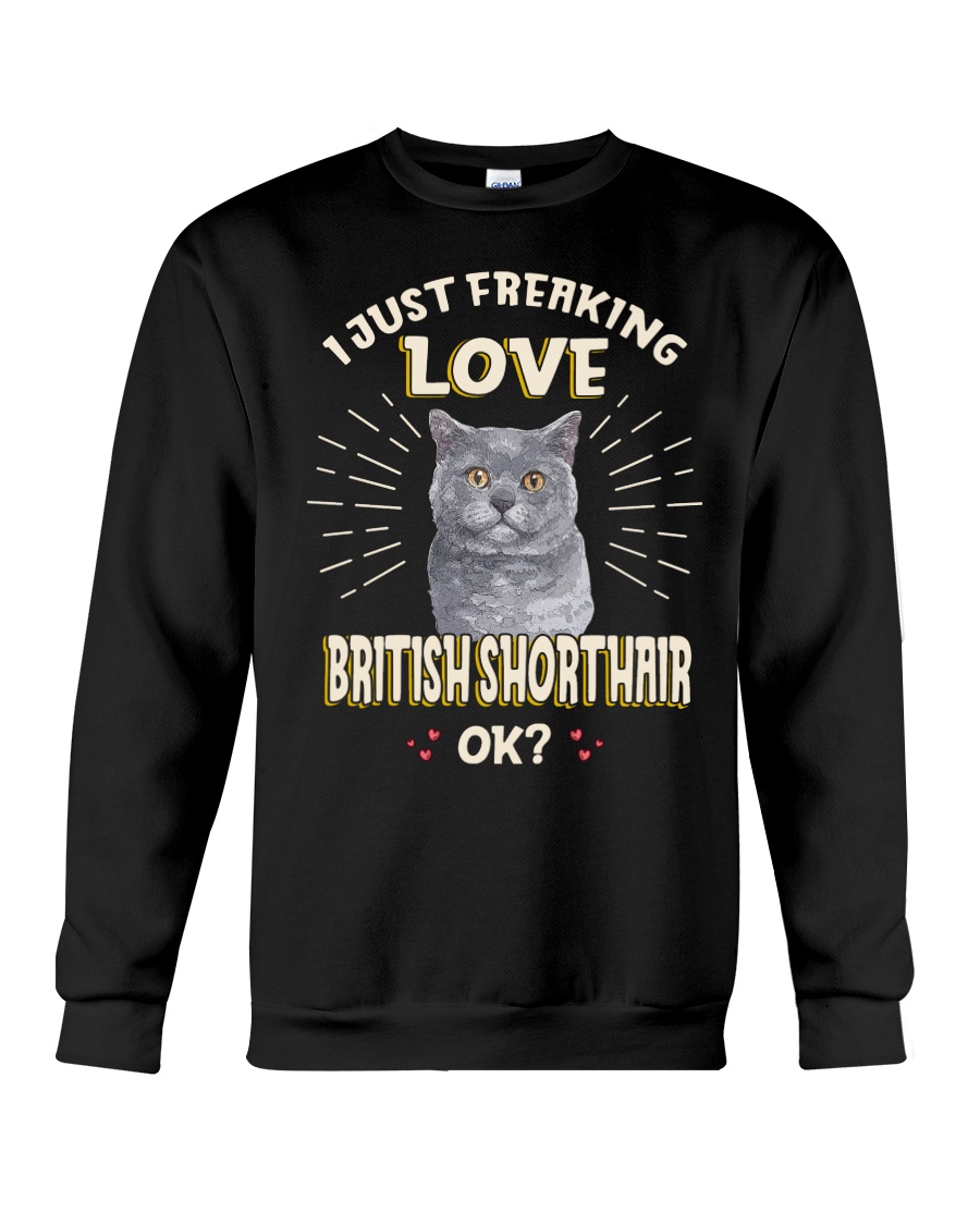 I Just Freaking Love British Shorthair Vintage Style Hoodie - Image 4