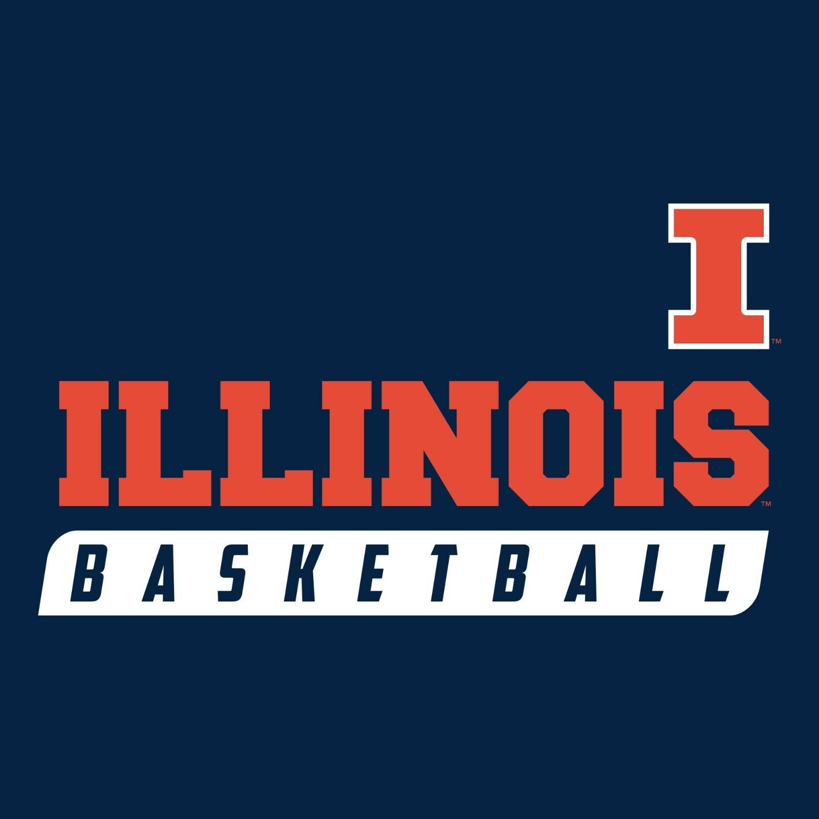 Illinois Fighting Illini Established Arch Logo Shirt Illinois Home Champion Hoodie Gift, Vintage Illinois Sweatshirt - Image 2