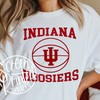 Indiana Hoosier Basketball T-Shirt, Tailgate Party Fan Sweatshirt, Iu Basketball Pillow, Graphic Screen Print Shirt