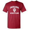 Indiana Hoosiers Road Trip Script Sweatshirt, Vintage University Of Indiana Hoosiers