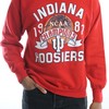 Indiana Sweatshirt, Indiana University Sweatshirt, Indiana State Pullover, Christmas Gift, College Jumper