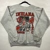 Indiana Sweatshirt, Indiana University Sweatshirt, Indiana State Pullover, Fall Sweatshirt, State Pullover Iu Sweatshirt
