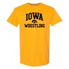 Iowa Hawkeyes Basketball Peak Shirt Iowa Fan Crewneck Sweatshirt, Iowa Sweater