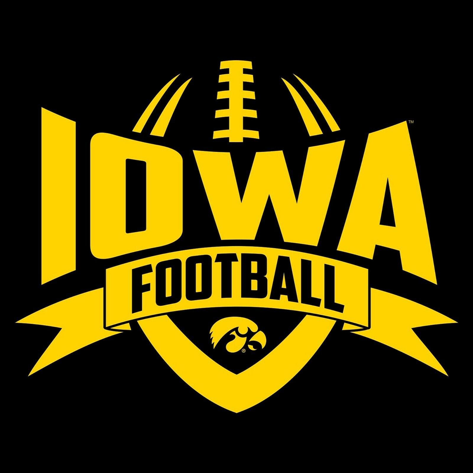 Iowa Hawkeyes Institutional Logo Shirt Iowa Fan Crewneck Sweatshirt, Iowa Sweater - Image 2
