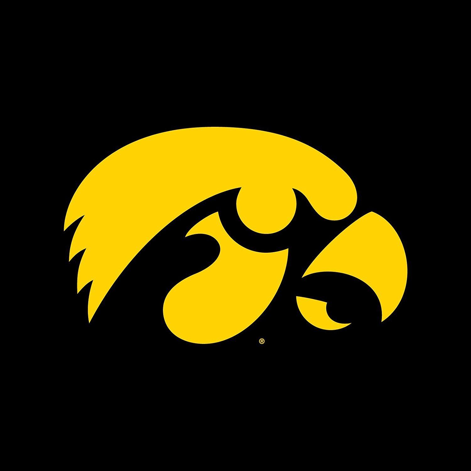 Iowa Hawkeyes University Block Shirt Iowa Fan Crewneck Sweatshirt, Iowa Sweater - Image 2