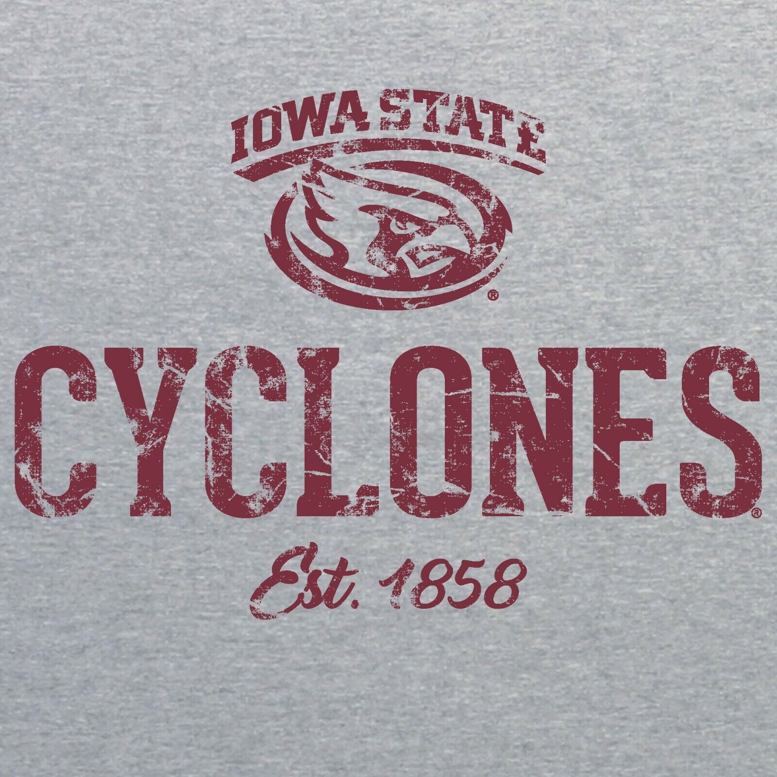 Iowa Usa Wrestling Gold Official University Of Iowa Wrestling Shirt Iowa Fan Crewneck Sweatshirt, Iowa Sweater - Image 2