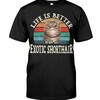 Life Is Better With An Exotic Shorthair Chic T-Shirt, Comfy Hoodie And Cozy Sweatshirt
