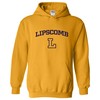 Loyola Chicago Ramblers Institutional Logo Shirt Sweatshirt Pullover Hoodie Vintage Style T-Shirt