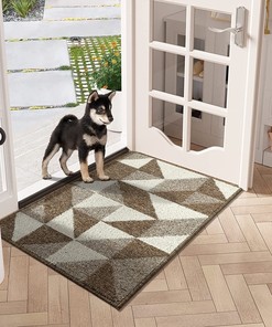 Machine Washable Low-Profile Entrance Rug: Absorbent Non-Slip Rug for Your Home