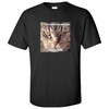 Memphis Tigers Collegiate Fight Song Sport Shirt Sweatshirt Pullover Hoodie Reprinted Gifts For Fans