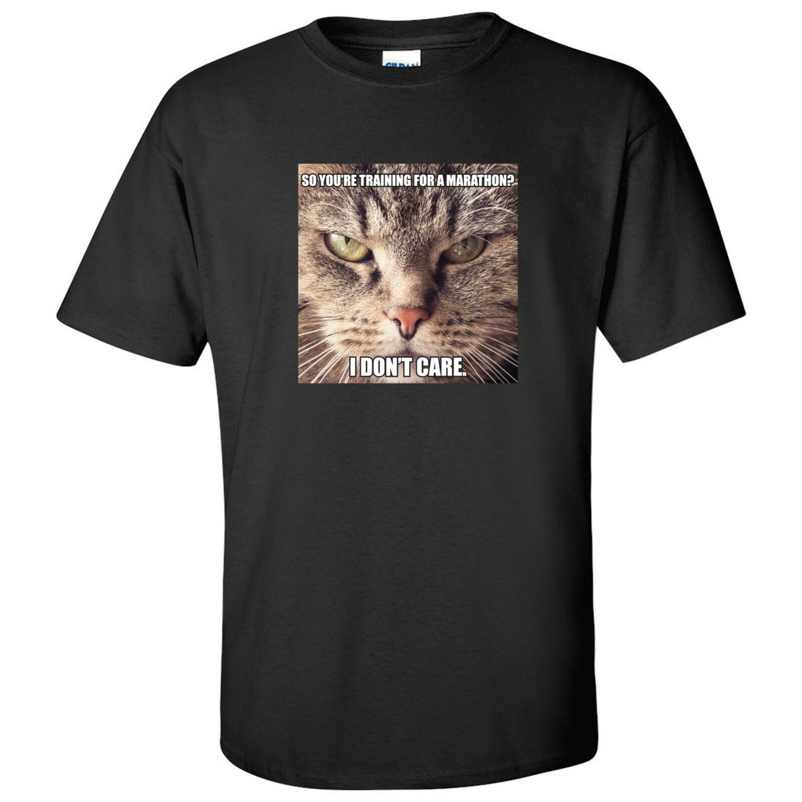 Memphis Tigers Collegiate Fight Song Sport Shirt Sweatshirt Pullover Hoodie Reprinted Gifts For Fans