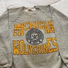 Michigan State Crew Neck Sweatshirt - Perfect Gift For Spartan Fans