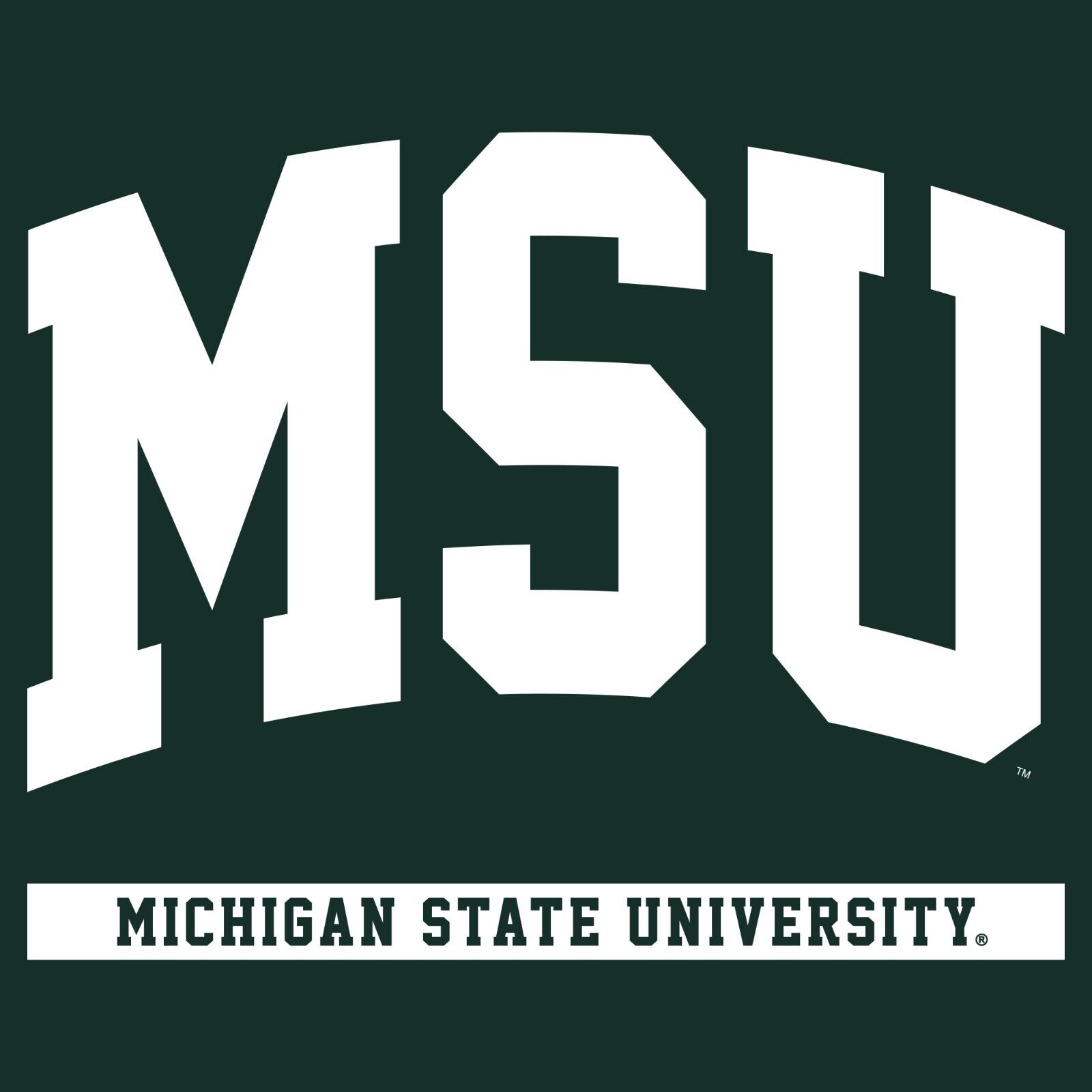 Michigan State Spartans Spirited Script Womens Msu Spartans, Michigan State University Sweatshirt - Image 2