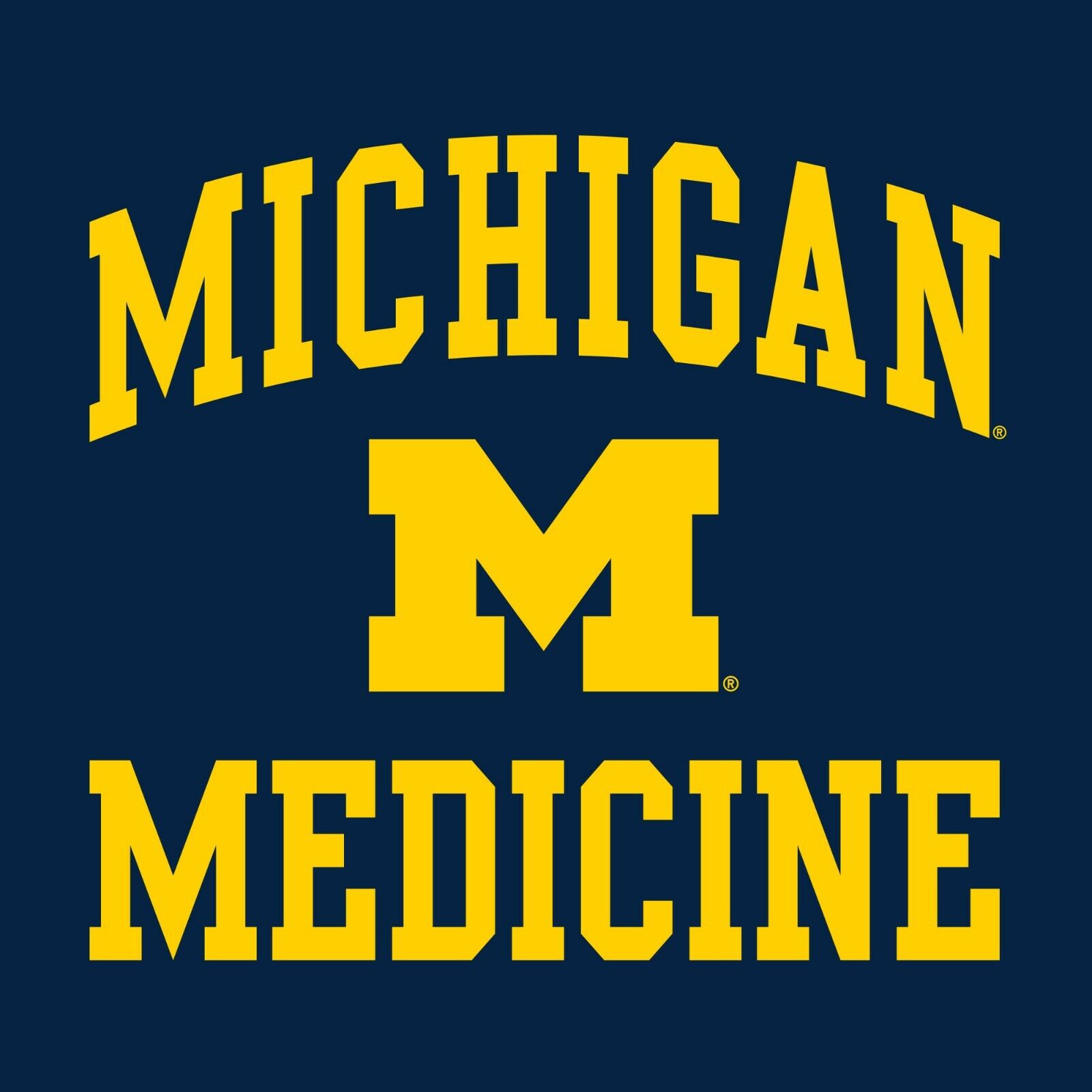 Michigan Wolverines Baseball Field Ncaa University Michigan Fan Crewneck Shirt, Sports Team - Image 2