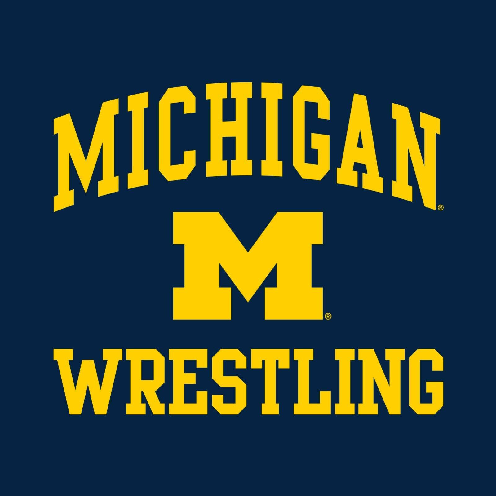 Michigan Wolverines Basketball Distress Triblend Michigan Fan Crewneck Shirt, Sports Team - Image 2