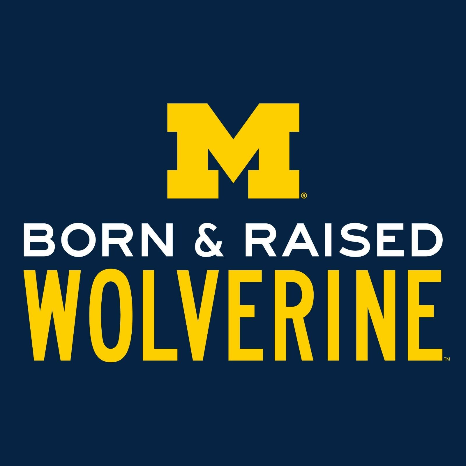 Michigan Wolverines Collegiate Shirt Sweatshirt Pullover Hoodie Gifts For Fans - Image 2