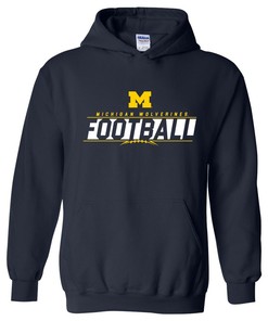 Michigan Wolverines I Married Into This Michigan Fan Crewneck Shirt, Sports Team