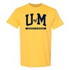 Michigan Wolverines Plaid Circle Michigan Fan Crewneck Shirt, Sports Team