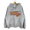 NFL Division Champions Vintage Style Hoodie Sweatshirt Great Gift for Football Fans