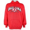 Ncaa Indiana Hoosiers Hooded Sweatshirt 1993 Vintage Tshirt Unisex Sport Sweatshirt Hoodie Gift