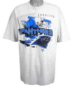 Nfl Carolina Panthers Spell-Out T-Shirt 1990S Vintage Tshirt Unisex Sport Sweatshirt Hoodie Gift