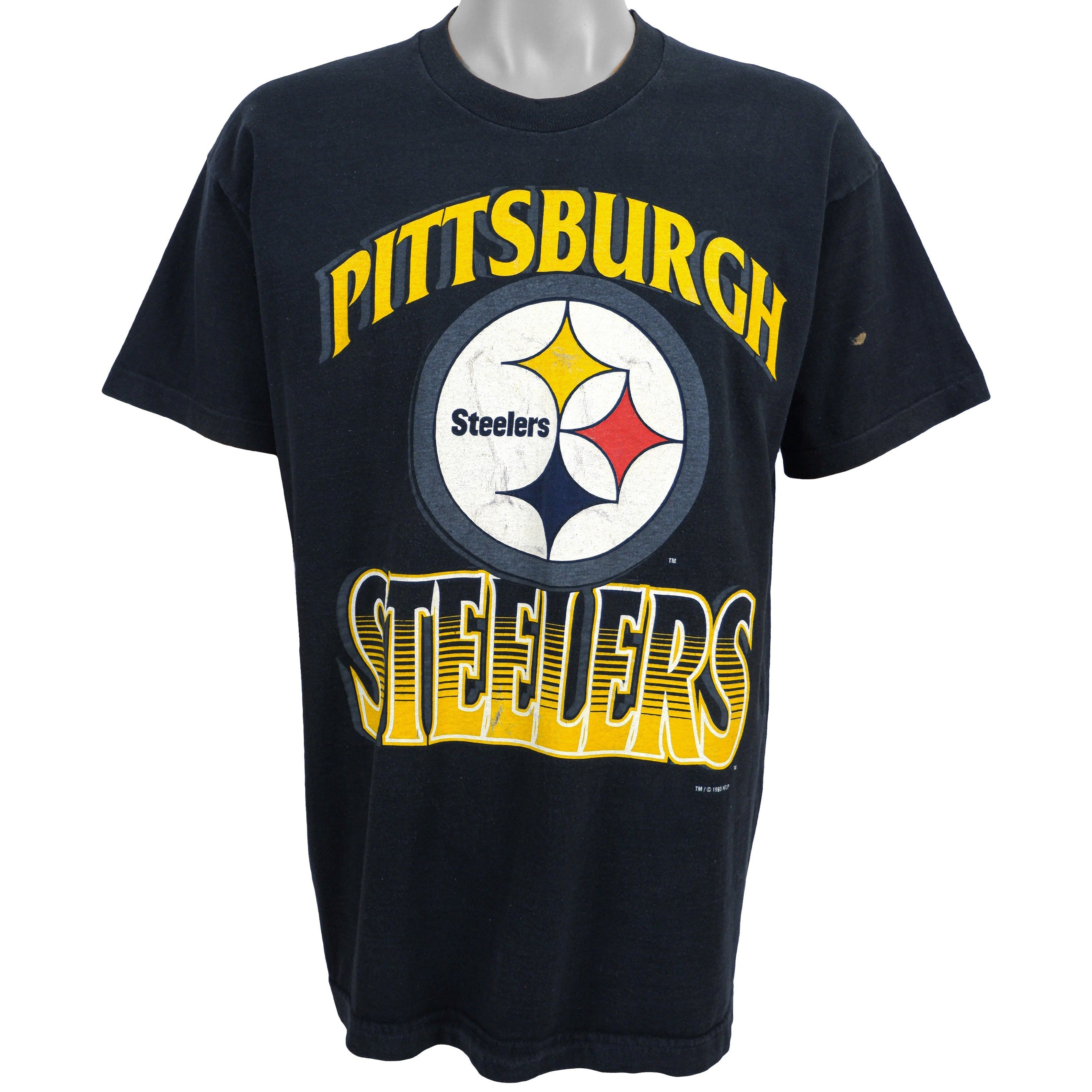 Nfl Pittsburgh Steelers Spell-Out T-Shirt 1993 Vintage Tshirt Unisex Sport Sweatshirt Hoodie Gift