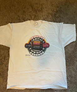 Official Stadium Exclusive 2000’s Champion Sweatshirt T-shirt, NFL Football Teams Gifts For Fans