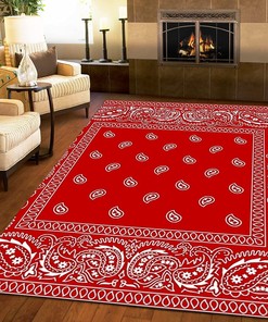 Paisley Pattern Easy to Clean Stain Kids Rugs, Machine Washable Breathable Durable Mat for Study Dining Room Décor