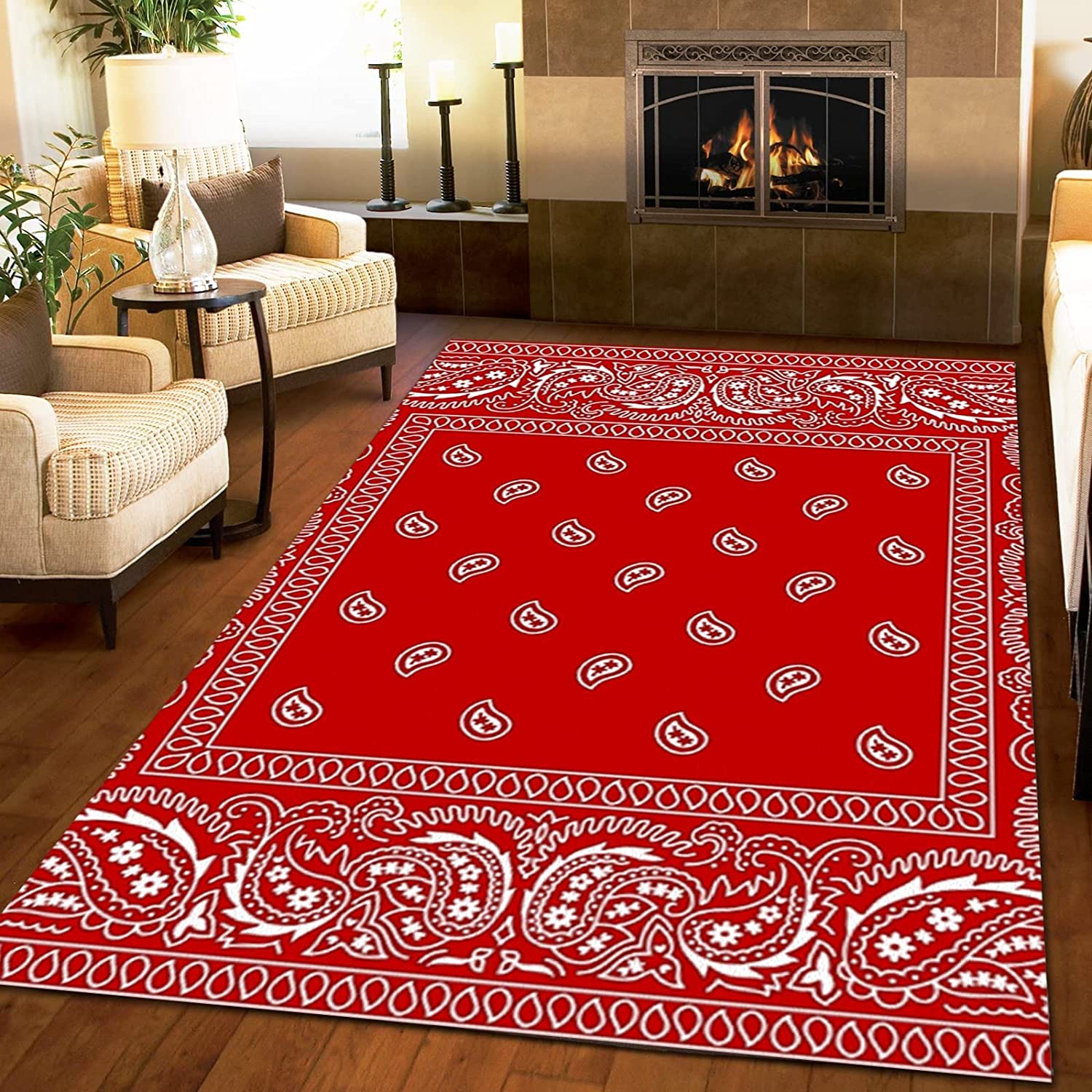 Paisley Pattern Easy to Clean Stain Kids Rugs, Machine Washable Breathable Durable Mat for Study Dining Room Décor