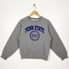 Pennsylvania State University Nittany Lions Apparel T-Shirt, Sweatshirt, Hoodie & More - Full Color Gift For Ncaa Fans