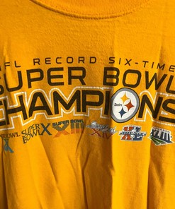 Pittsburgh Steelers Superbowl Champions Graphic Hoodie Sweatshirt Stylish Gift for NFL Fans