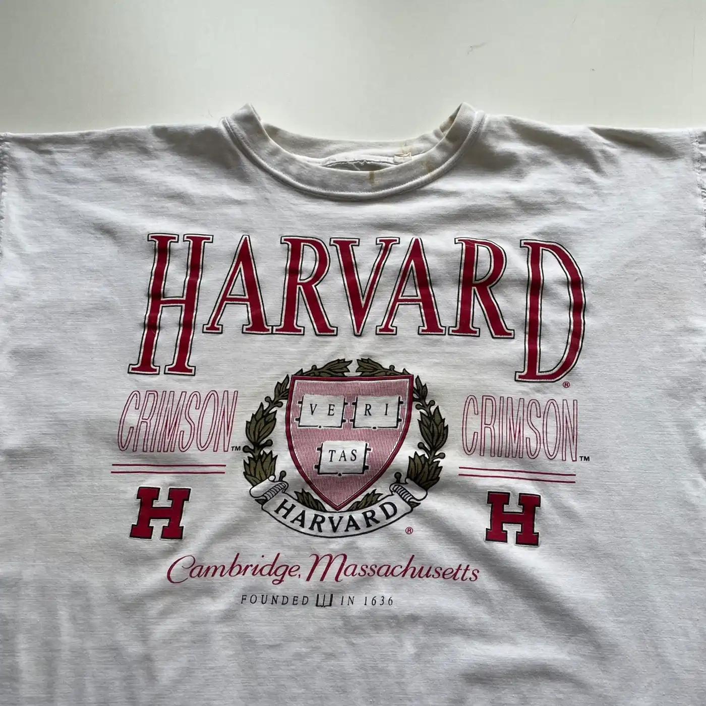 Represent Harvard University With Vintage Y2K Ncaa T-Shirts, Sweatshirts, Hoodies - Image 2