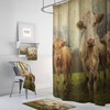 Rustic Cow Shower Curtain, Farmhouse Bathroom Decor with Restroom Shower Curtain Ideas