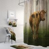 Rustic Cow Shower Curtain with Farmhouse Bathroom Decor