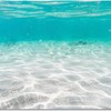 Sea Water Ripples Beautiful Scenery Area Rug - Seaside Scenery Beach Shells Soft Washable Upholstery Carpet