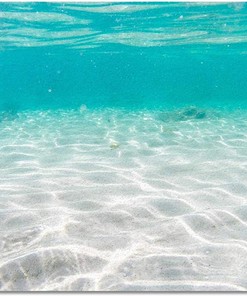 Sea Water Ripples Beautiful Scenery Area Rug - Seaside Scenery Beach Shells Soft Washable Upholstery Carpet