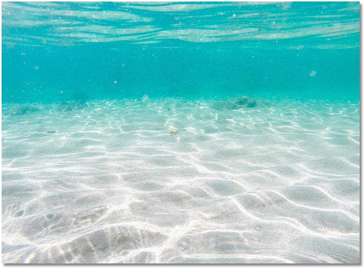 Sea Water Ripples Beautiful Scenery Area Rug - Seaside Scenery Beach Shells Soft Washable Upholstery Carpet