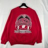 Stay Warm and Stylish with Wisconsin Badgers Vintage Style Crewneck Sweatshirt Bundle, NCAA Fan Gift