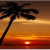 Sunset Flower Landscape Area Rugs - Natural Scenery Soft Washable Upholstery Carpet for Kids, Adults, and Families