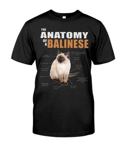 The Anatomy Of A Balinese T-Shirt
