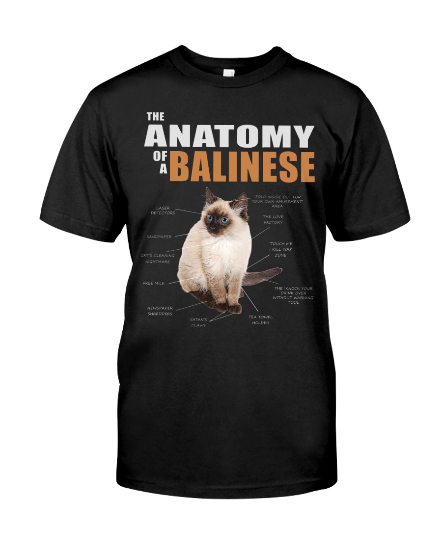 The Anatomy Of A Balinese T-Shirt