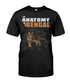 The Anatomy Of A Bengal Sweatshirt