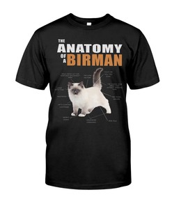 The Anatomy Of A Birman Hoodie